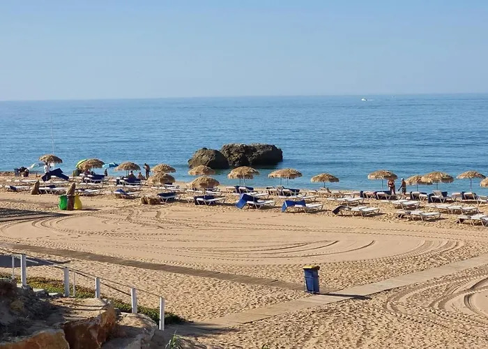 Casa Da By Sunny Deluxe